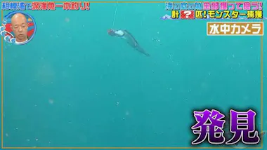 激ウマ＜青い目を持つ巨大ザメ＞は釣れるのか！ 深海魚界の若き異端児 