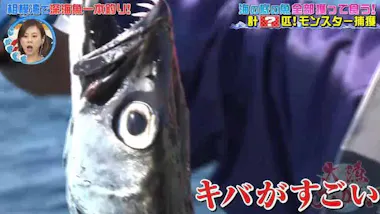 激ウマ＜青い目を持つ巨大ザメ＞は釣れるのか！ 深海魚界の若き異端児 