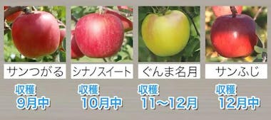泣きながら廃棄した...」りんご農家1年目に襲われた悲劇。フェス人口