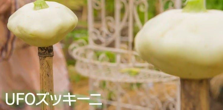 拒食症 死を覚悟したことも 借金1億円生活を這い上がった 元パリコレモデル テレ東プラス 拒食症 死を覚悟したことも 借金1億円生活を這い上がった 元パリコレモデル テレ東プラス