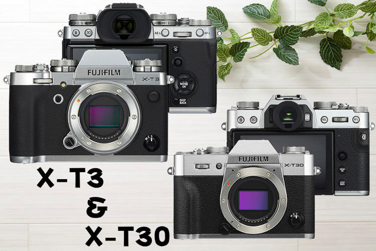本命はどっち!? 「X-T3」と「X-T30」自分が持つべき至高の一台 本命はどっち!? 「X-T3」と「X-T30」自分が持つべき至高の一台