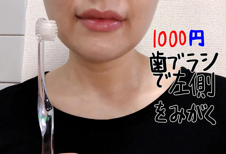 100均の歯ブラシと1000円の歯ブラシ 実際に使って品質を比べてみた テレ東プラス