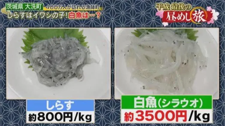 大粒で身もプリップリ 旬のハマグリで豪快漁師めし 昼めし旅 あなたのご飯見せてください テレ東プラス