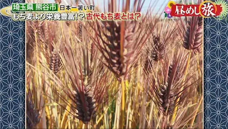hirumeshi_20200816_03.jpg