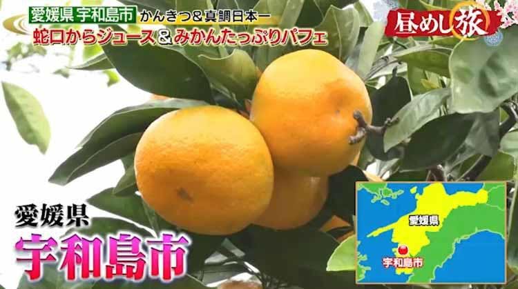 全国の高級料亭から注文が入るブランド魚で作る 簡単でおいしい 炊かない 鯛 テレ東プラス 全国の高級料亭から注文が入るブランド魚で作る 簡単でおいしい 炊かない 鯛 テレ東プラス