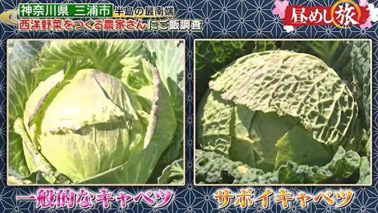 珍しい西洋野菜で作る贅沢なポトフが登場 ムラサキ色のスープの正体は テレ東プラス