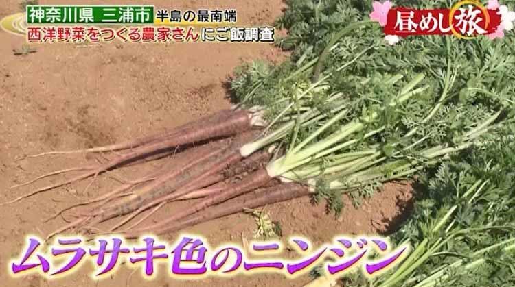 珍しい西洋野菜で作る贅沢なポトフが登場 ムラサキ色のスープの正体は テレ東プラス