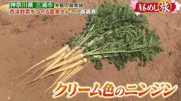 珍しい西洋野菜で作る贅沢なポトフが登場 ムラサキ色のスープの正体は テレ東プラス