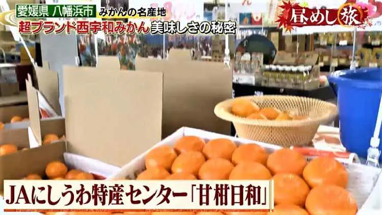 産地以外ではめったに食せないヒオウギ貝に舌鼓 地元小学生が考案した真鯛を使った タイレッ丼 とは テレ東プラス 産地以外ではめったに食せないヒオウギ貝に舌鼓 地元小学生が考案した真鯛を使った タイレッ丼 とは テレ東プラス