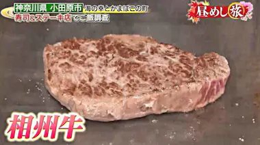 ご当地解剖図鑑『松阪牛』 飛び込み
