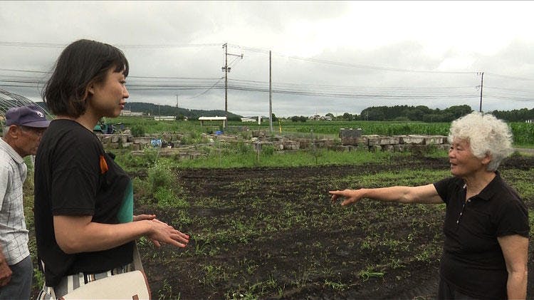 ロケで出会ったあの人たちは今 昼めし旅 あなたのご飯見せて下さい 放送1000 回記念 再会s テレ東プラス