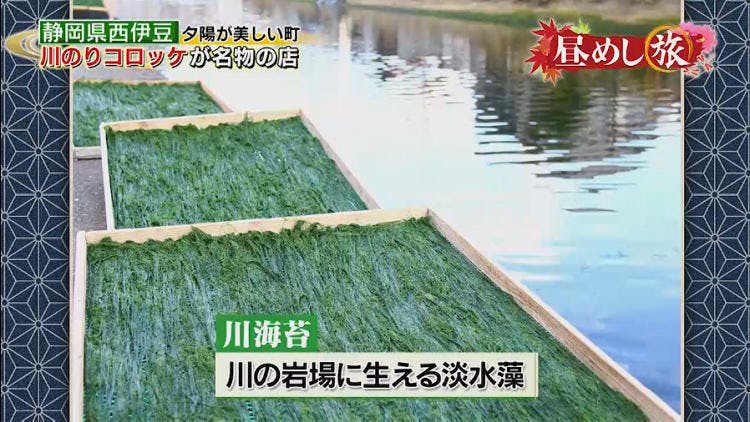 西伊豆名物 川のりコロッケ とスルメイカ マグロづくし 昼めし旅 あなたのご飯見せてください テレ東プラス 西伊豆名物 川のりコロッケ とスルメイカ マグロづくし 昼めし旅 あなたのご飯見せてください テレ東プラス