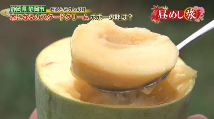 まるでカスタードクリームのよう 北米フルーツ ポポー ってナニ 昼めし旅 あなたのご飯見せてくださ テレ東プラス まるでカスタードクリームのよう 北米フルーツ ポポー ってナニ 昼めし旅 あなたのご飯見せてくださ テレ東プラス