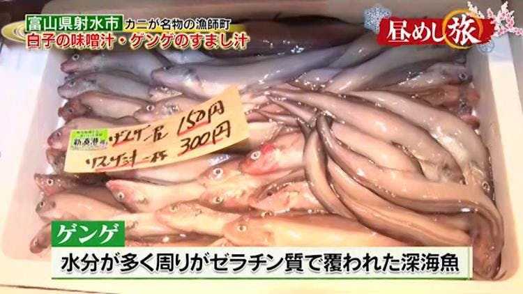 カニに白子に牡蠣 富山の海の幸をリーズナブルに 昼めし旅 あなたのご飯見せてください テレ東プラス カニに白子に牡蠣 富山の海の幸をリーズナブルに 昼めし旅 あなたのご飯見せてください テレ東プラス