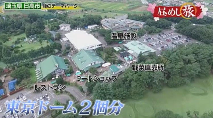 肉好き必見 温泉施設も 巨大な肉のテーマパーク 昼めし旅 あなたのご飯見せてください テレ東プラス 肉好き必見 温泉施設も 巨大な肉のテーマパーク 昼めし旅 あなたのご飯見せてください テレ東プラス