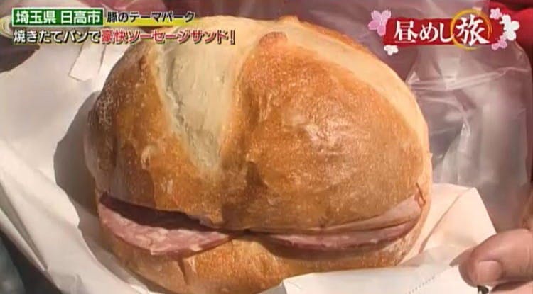 肉好き必見 温泉施設も 巨大な肉のテーマパーク 昼めし旅 あなたのご飯見せてください テレ東プラス