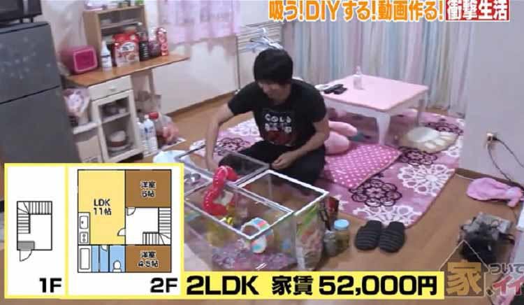 衝撃 ハムスター100匹以上と生活 ハムスター吸い ってナニ 仕事は完全に無いけど テレ東プラス 衝撃 ハムスター100匹以上と生活 ハムスター吸い ってナニ 仕事は完全に無いけど テレ東プラス