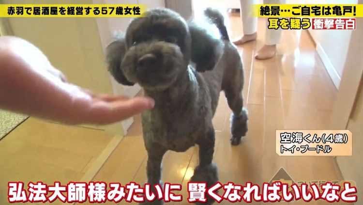 母が3千万円とともに蒸発 父は夜逃げに追い込まれ 50年越しで母に会った兄妹が知った父の親心とは テレ東プラス 母が3千万円とともに蒸発 父は夜逃げに追い込まれ 50年越しで母に会った兄妹が知った父の親心とは テレ東プラス