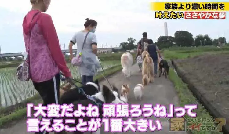 11匹の愛犬のために 夫婦も友人親子も 川の字 で 近所なのに同居生活する事情とは 家 ついて テレ東プラス