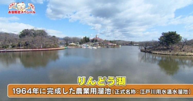 平成最後に４億3000万円の鑑定額！：開運！なんでも鑑定団｜テレ東プラス