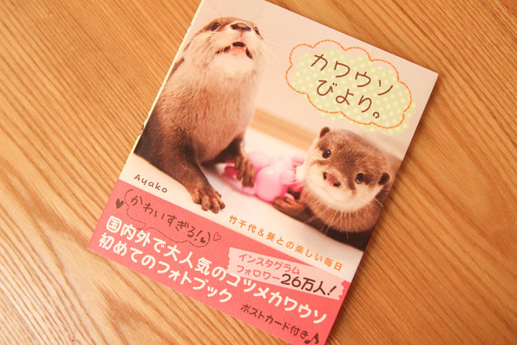 Instagramで大人気！カワウソの「竹ちゃん」＆「葵ちゃん」に会ってき