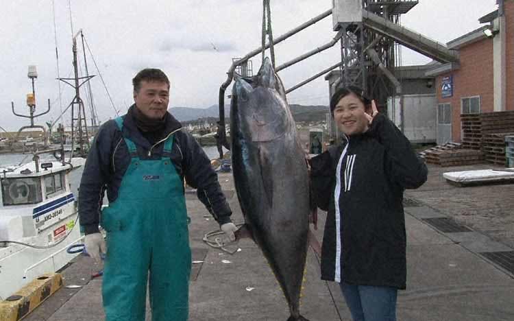 マグロ価格の暴落 収入激減 翻弄される家族 新型コロナは 漁師たちの生活をどう変えてしまったのか テレ東プラス マグロ価格の暴落 収入激減 翻弄される家族 新型コロナは 漁師たちの生活をどう変えてしまったのか テレ東プラス