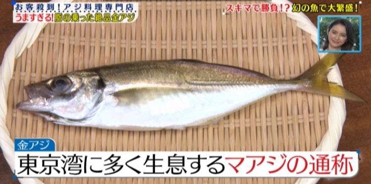 3分の1は臨時休業しているのに 満席状態が続く繁盛店 秘密は店主のこだわりの仕入れにあった た テレ東プラス 3分の1は臨時休業しているのに 満席状態が続く繁盛店 秘密は店主のこだわりの仕入れにあった た テレ東プラス
