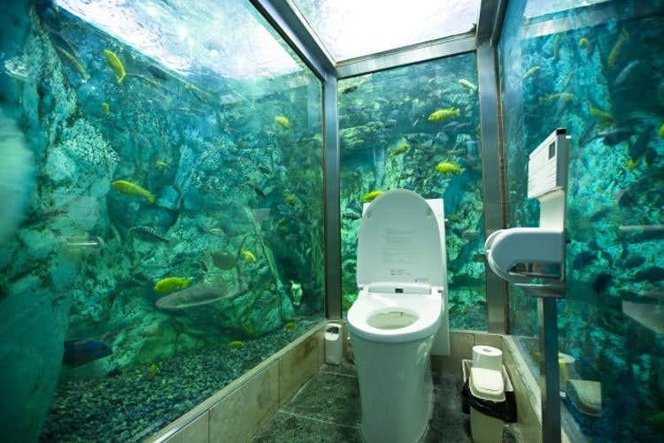 水族館みたいなトイレから1億円トイレまで！ 日本のおもしろトイレを紹介｜テレ東プラス