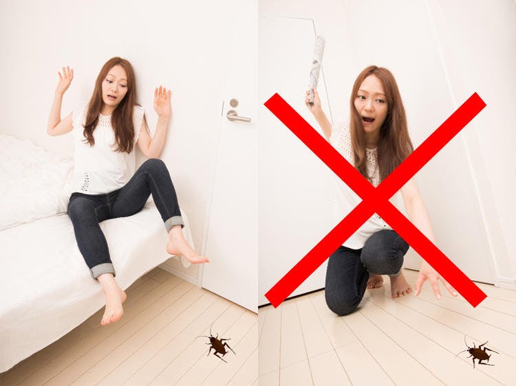 なくなっ た い ゴキブリ 衝撃…ゴキブリ対策のカン違い。一番効く方法をプロに聞いた