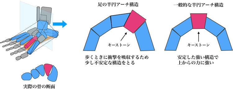体の不調は足から 足のトラブル セルフチェック テレ東プラス 体の不調は足から 足のトラブル セルフチェック テレ東プラス