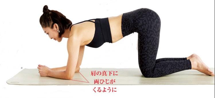 1日5分 くびれ番長の ぽっこりお腹 解消トレーニング テレ東プラス 1日5分 くびれ番長の ぽっこりお腹 解消トレーニング テレ東プラス