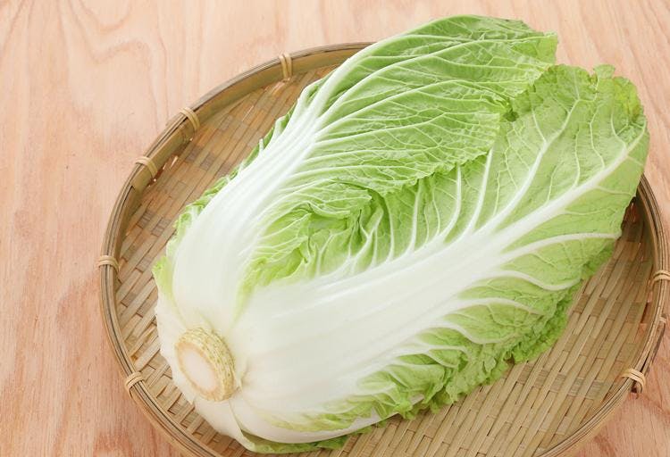 只不是 白菜差事切割食谱 锅以及炒菜 在白菜意大利的 Tere Topla