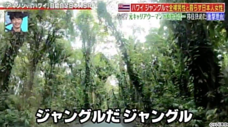 元キャリアウーマンがなぜ ハワイのジャングルで全裸男性と暮らす日本人女性 テレ東プラス