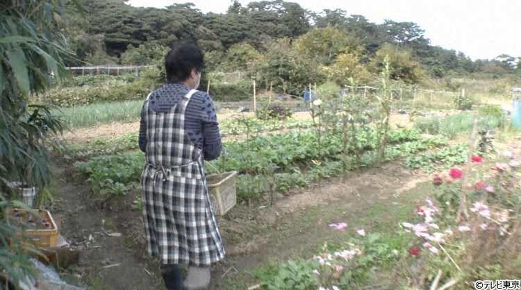 急な斜面にへばりつくように家が建ち 物騒な人柱伝説が残る秘境集落の気になる全貌 テレ東プラス