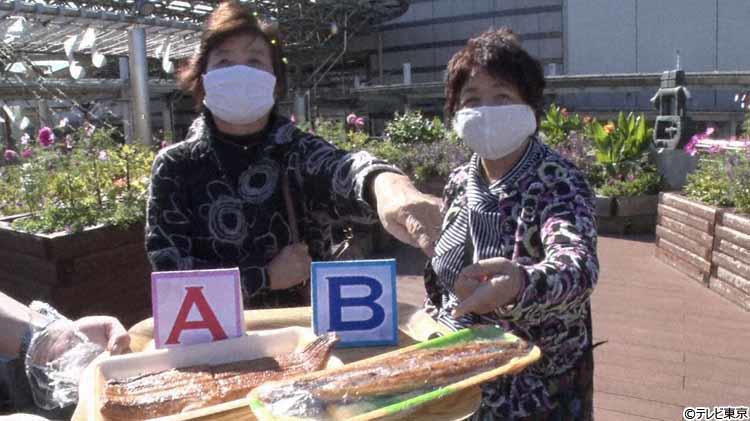 人口たった8人の秘境集落家の目の前は熊野古道！ 78歳男性が40年 