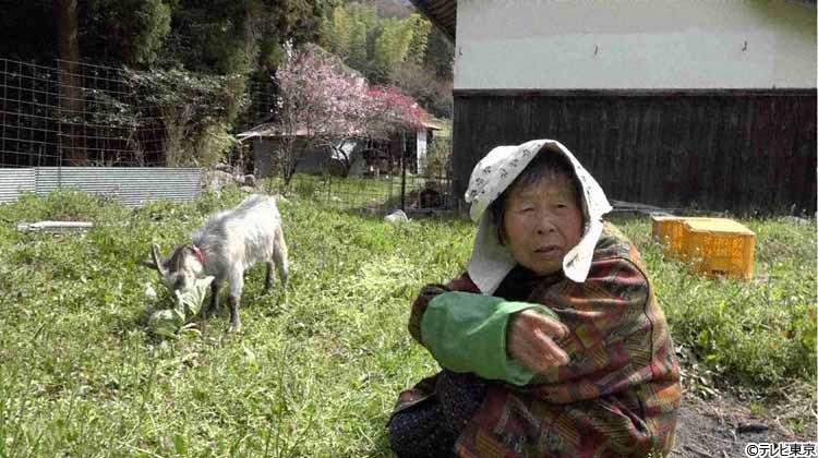 消滅寸前の集落で1万円札㊙原料を栽培する62歳ナゼ？愛する家族