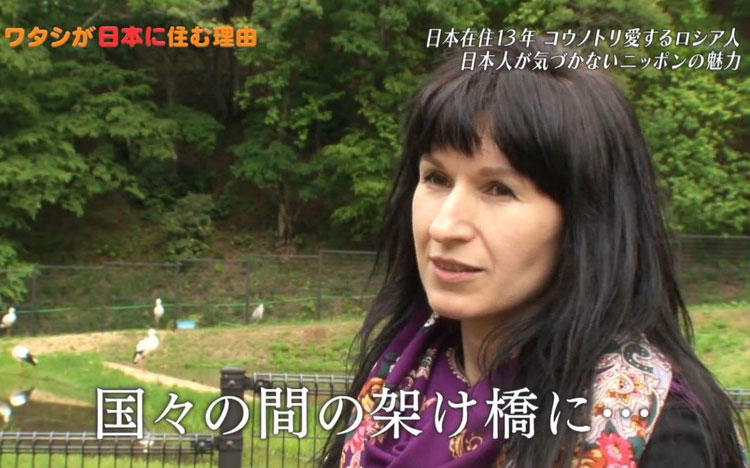 コウノトリに導かれてロシアからニッポンへ！：ワタシが日本に住む理由