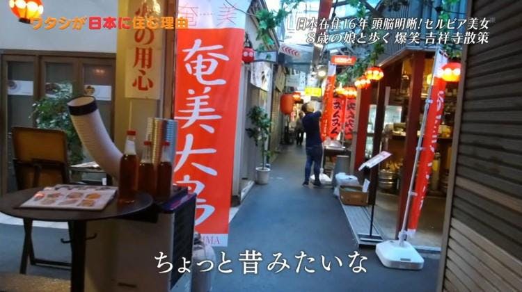 大学芋 わらび餅 猫カフェ セルビア人女性が語る ニッポンそして吉祥寺 テレ東プラス