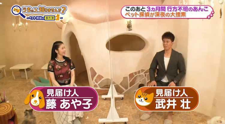 感動 亡き主人を探して愛猫が行方不明に ペット探偵 の全貌にカメラが密着 捜索方法も伝授 テレ東プラス 感動 亡き主人を探して愛猫が行方不明に ペット探偵 の全貌にカメラが密着 捜索方法も伝授 テレ東プラス