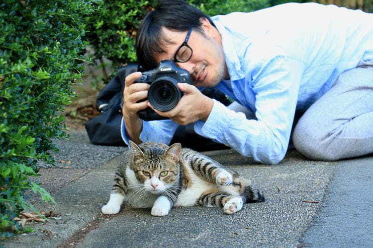 必死すぎるネコ のフォトグラファー 沖昌之さんの 人生を激変させた衝撃的なネコr テレ東プラス