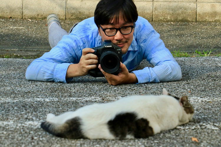 必死すぎるネコ』のフォトグラファーに聞く、ネコを可愛く撮影するため 