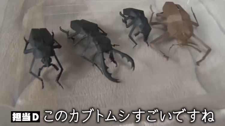 たけしが感動 落ちている物に命を吹き込む 世界が認めたアーティストとは テレ東プラス