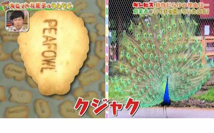 じゃがりこ」の”りこ”って何？「たべっ子どうぶつ」にキリンとワニが
