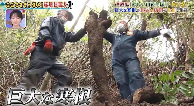 tokoro_20230302_03.jpg