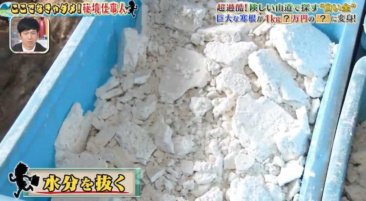 tokoro_20230302_04.jpg