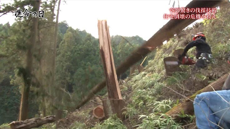 命懸けのギャンブル 空師の日常に迫る 運命の日 ニッポンの挑戦者たち テレ東プラス 命懸けのギャンブル 空師の日常に迫る 運命の日 ニッポンの挑戦者たち テレ東プラス