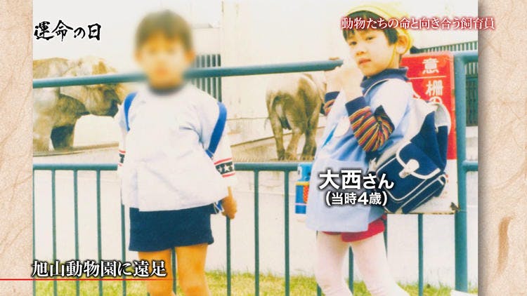 悲劇そして感動 旭山動物園 のベテラン飼育員に密着 運命の日 ニッポン テレ東プラス 悲劇そして感動 旭山動物園 のベテラン飼育員に密着 運命の日 ニッポン テレ東プラス