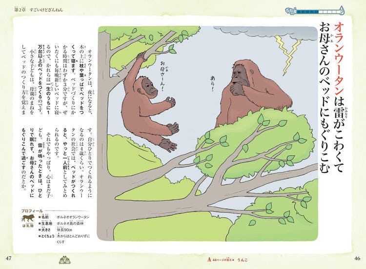 ざんねんないきもの事典 の動物学者に 人間の ざんねんなところ を聞いてみ テレ東プラス ざんねんないきもの事典 の動物学者に 人間の ざんねんなところ を聞いてみ テレ東プラス