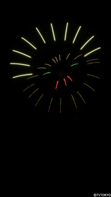 花火師の甲子園 新作花火コレクション に出場した ネーミングが自由すぎる花火best3 テレ東プラス