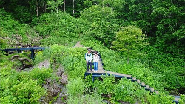 厳選いい宿特別編 群馬県 中之条町 群馬の名湯と天然記念物チャツボミゴケ絶景体験 編 テレ東プラス